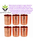 250 Ml Copper Hammered Glass For Healing Ayurvedic Tableware Accessories Set Of 6